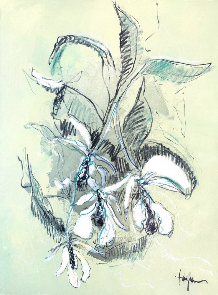 Jemná skica orchideje od Dorothy Fagan