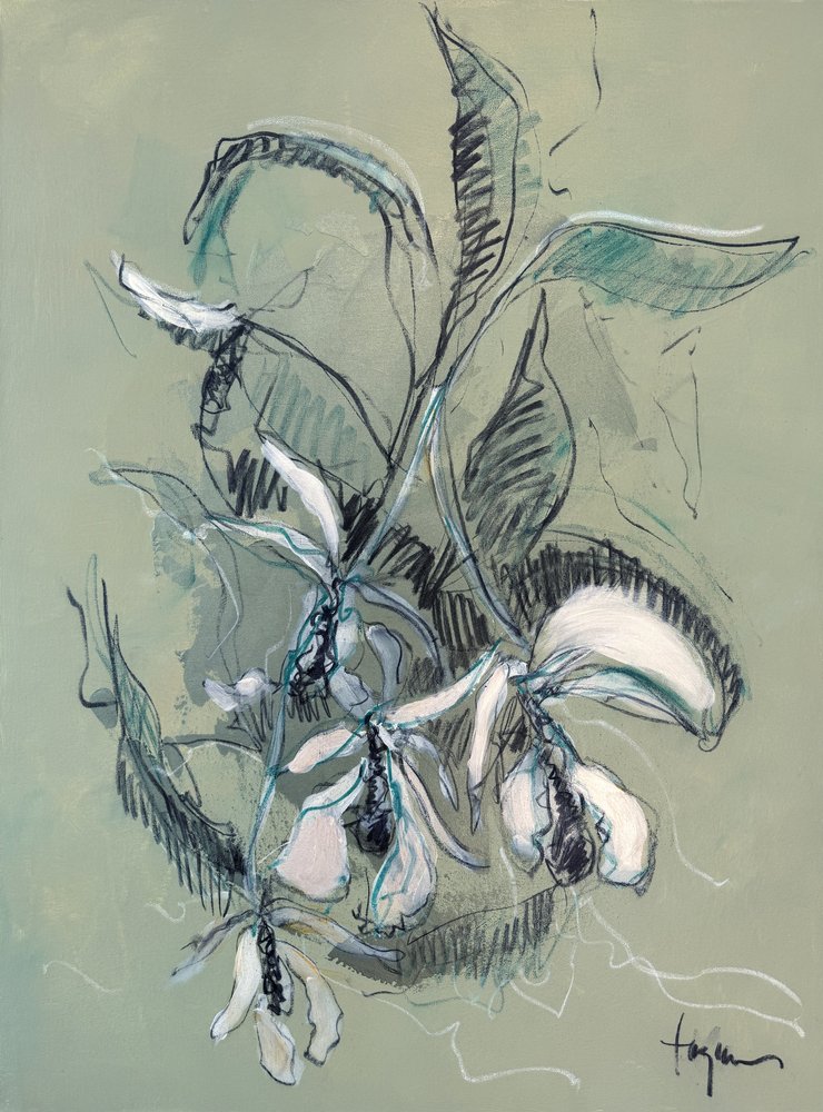 Elegantní skica orchideje od Dorothy Fagan