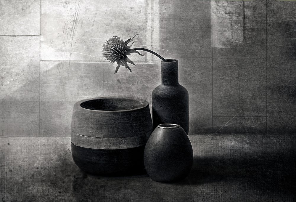 Lodě „Moody Thistle“ od Elena Arjona