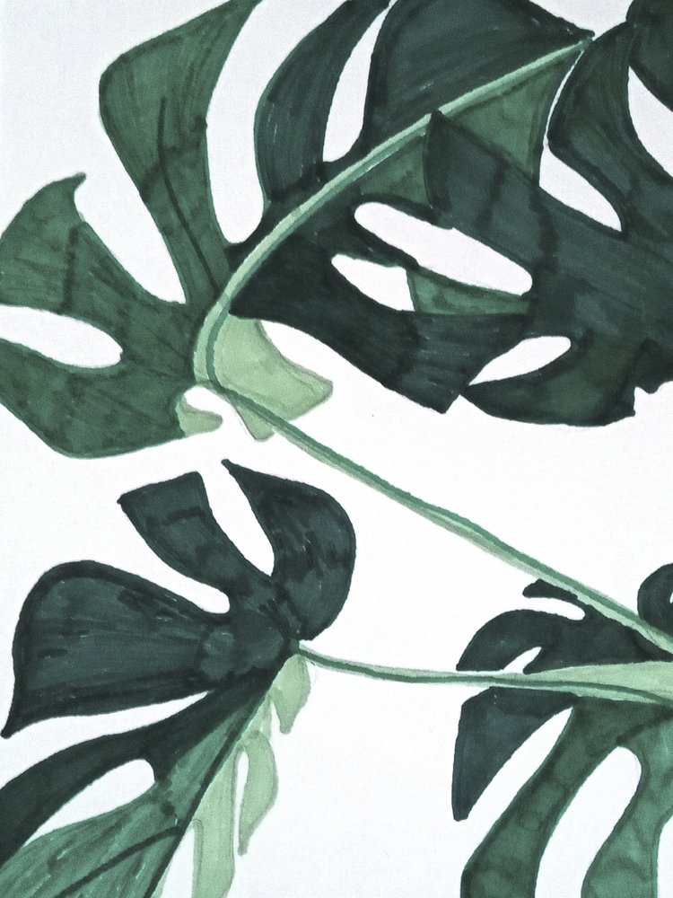 Abstrakt: Zelená monstera od Elizabeth C