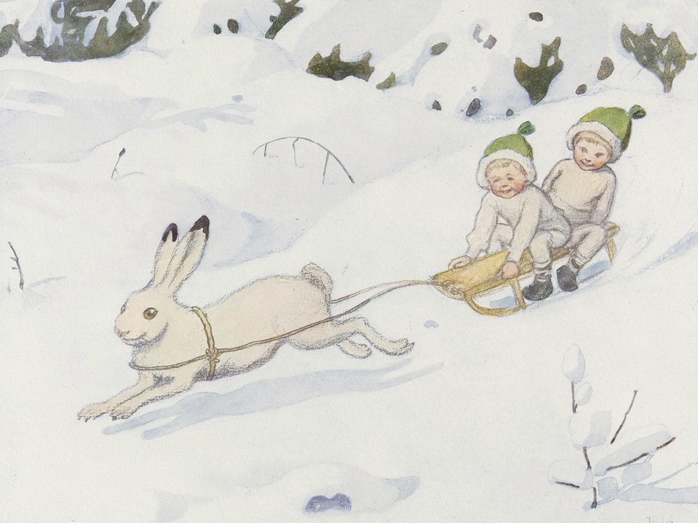 Sněhový zajíc od Elsa Beskow