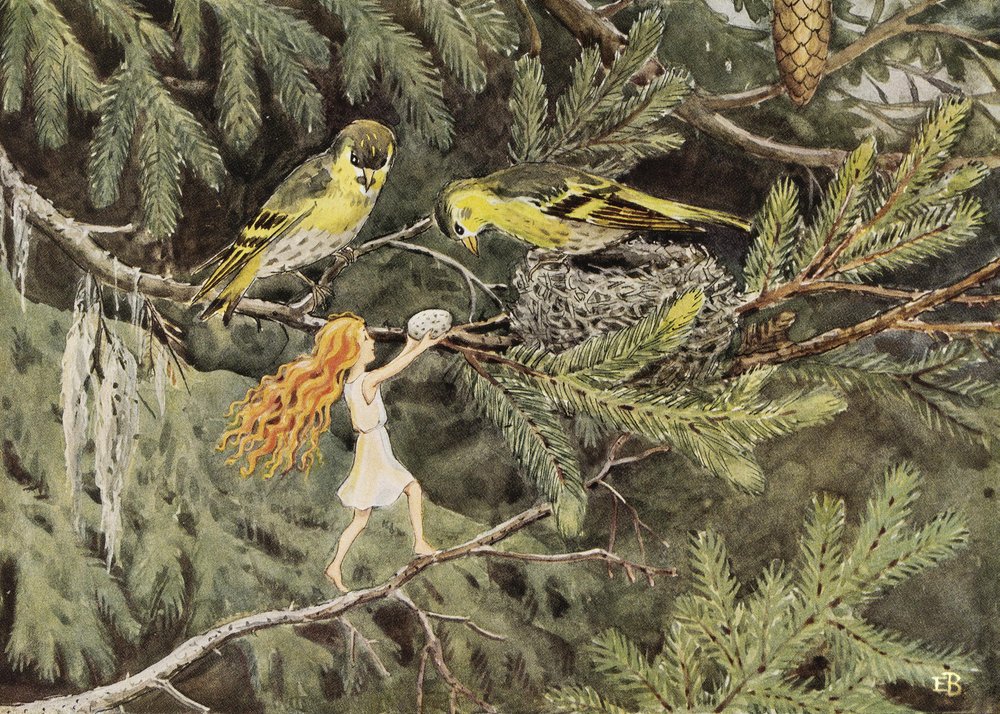 Sluneční vejce (1932) Ptáci od Elsa Beskow