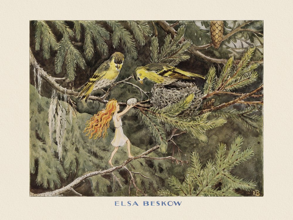 Sluneční vejce Ptáci od Elsa Beskow
