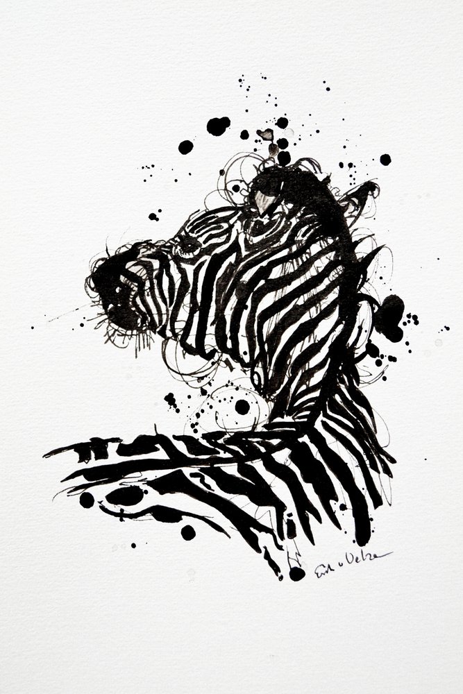 Divoká zebra – rozstřik inkoustu od Erik Van Velzen