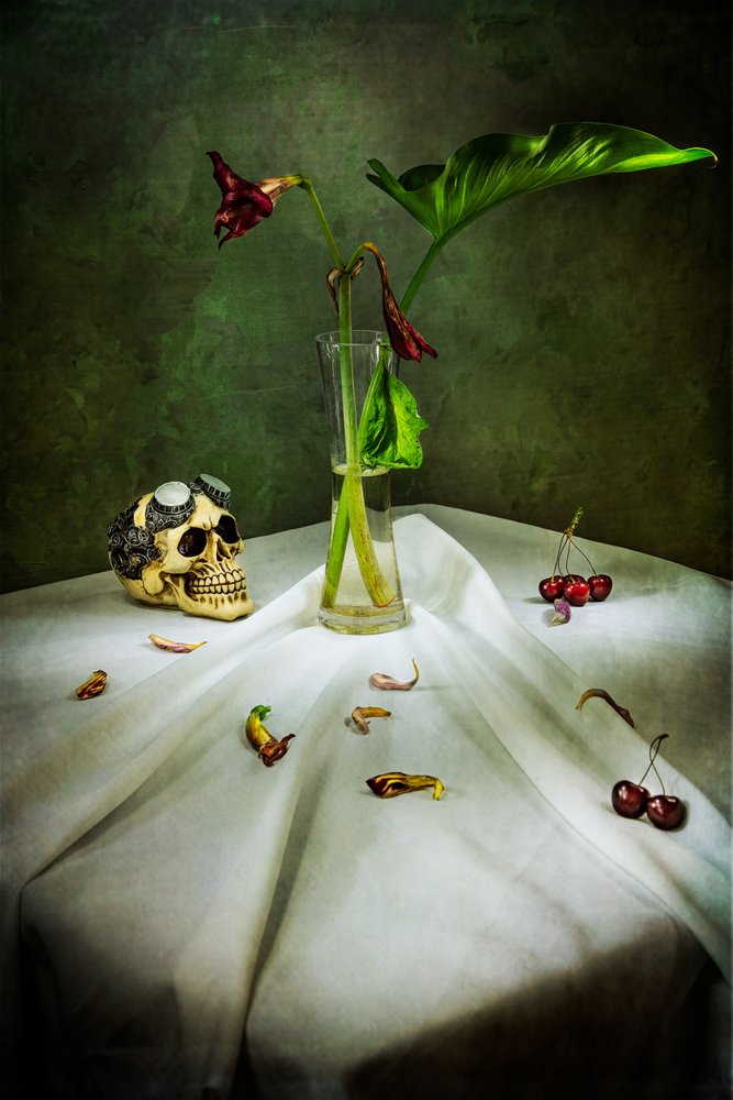 Gothic Skull Vanitas od Felice Angelino
