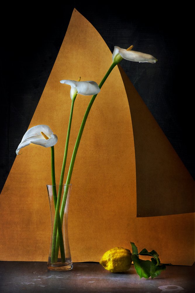  od Felice Angelino