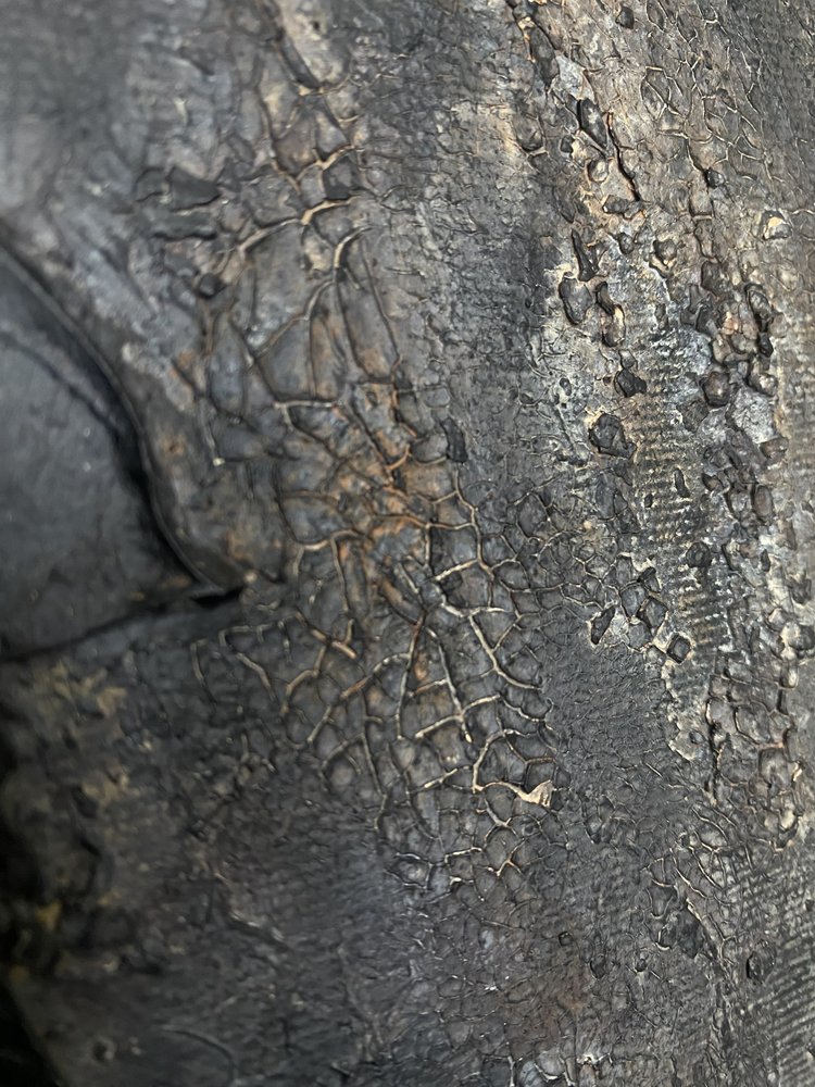  od Gabriela Aleksandra Szuba