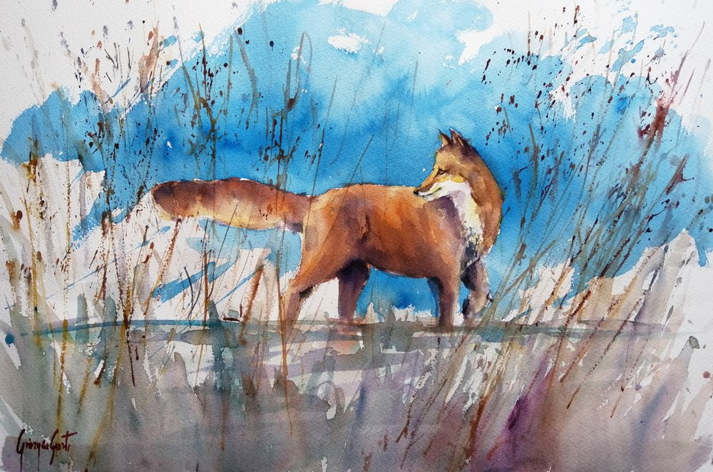 Alert Fox v Reeds od Giorgio Gosti