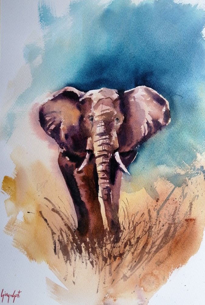 Divoký africký slon od Giorgio Gosti