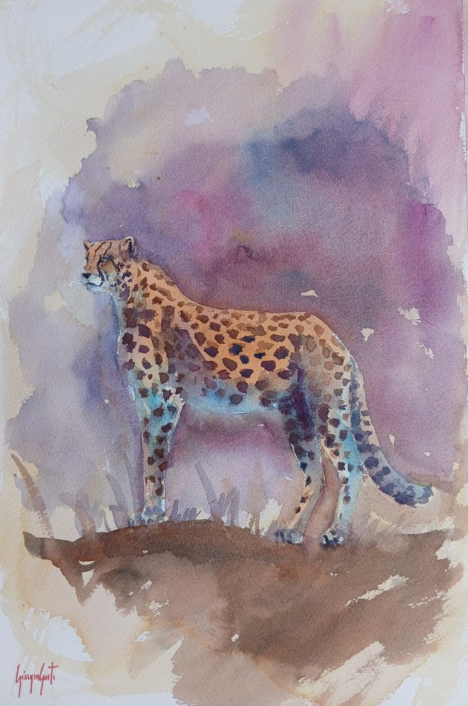 Gepard 13 od Giorgio Gosti