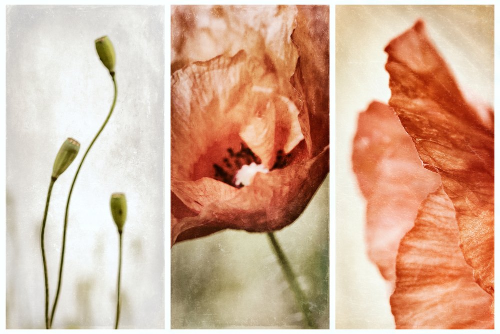  od Gustav Davidsson