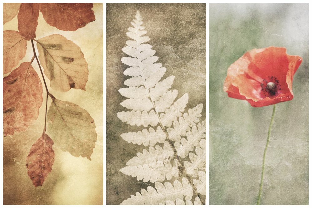 Vintage Nature Trio od Gustav Davidsson