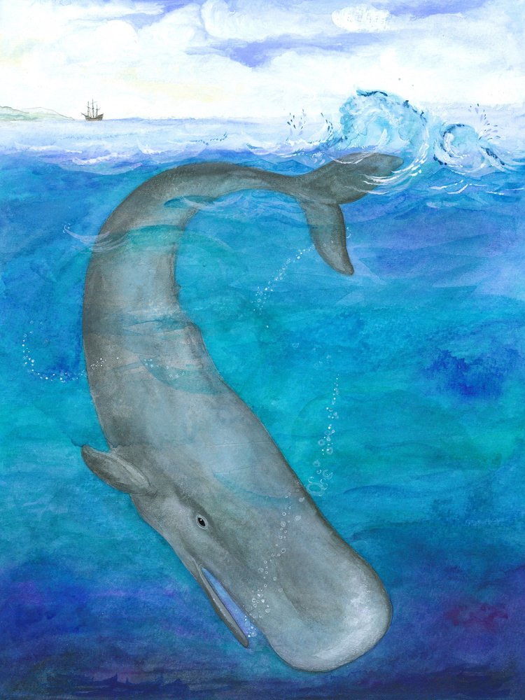 Oceánský tanec velryby od Isabelle Brent