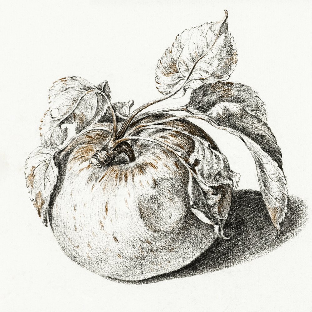 Apple od Jean Bernard