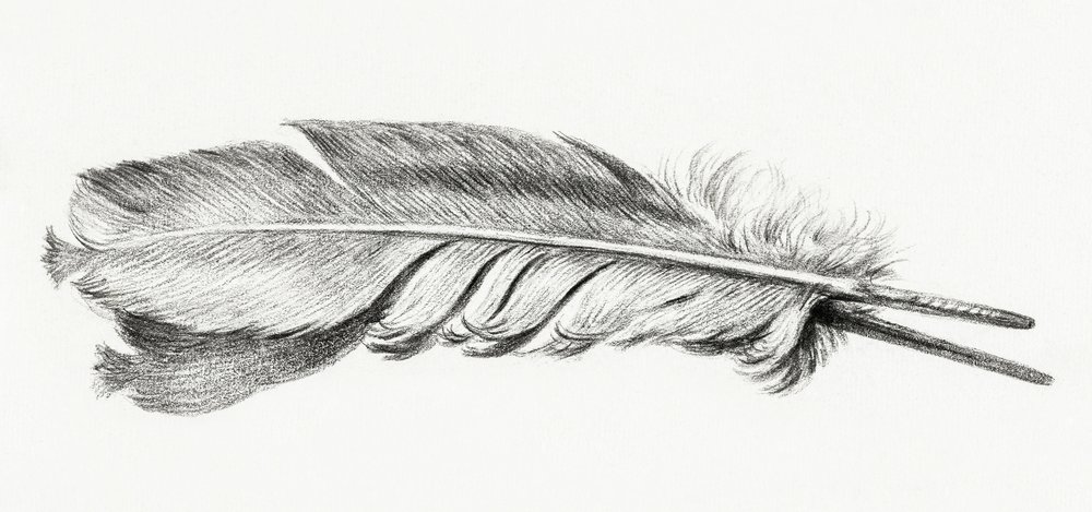 Pírko od Jean Bernard