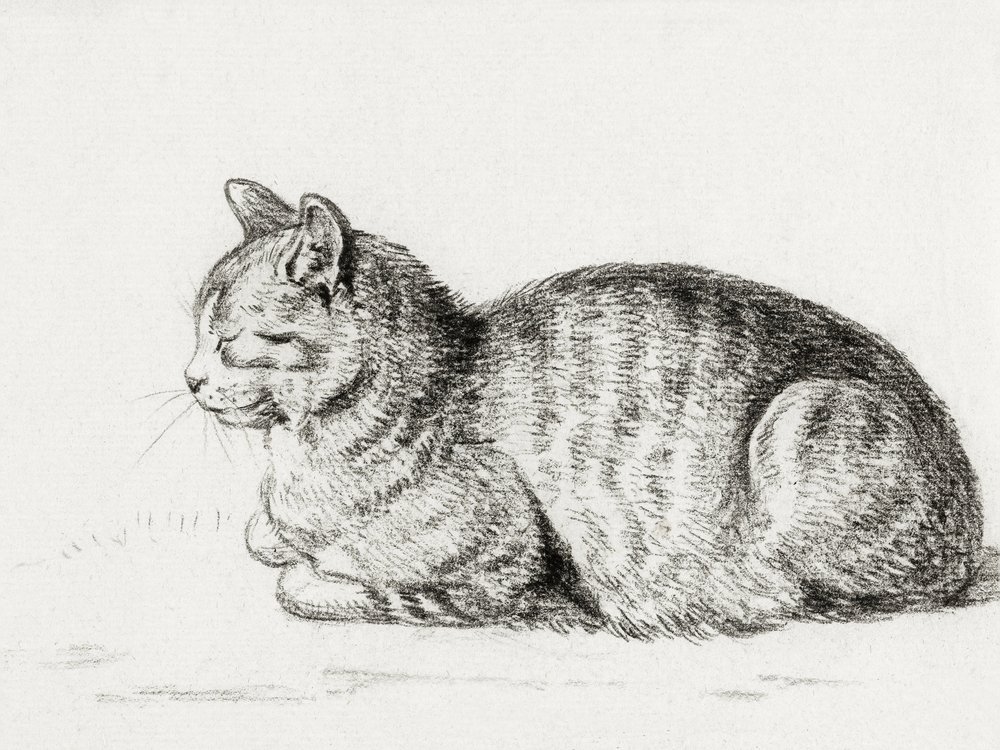 Ležící kočka (1811) od Jean Bernard