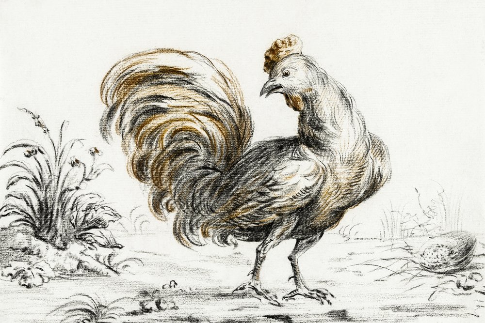 Rozvrh od Jean Bernard