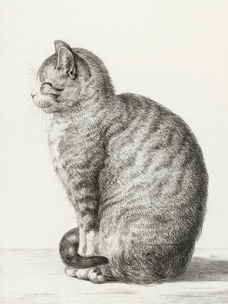 Sedící kočka (1815) od Jean Bernard