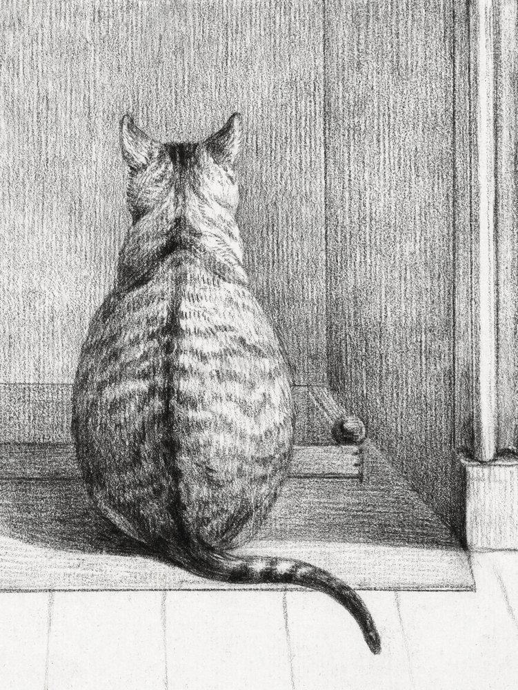 Sedící kočka, pohled zezadu (1812) od Jean Bernard