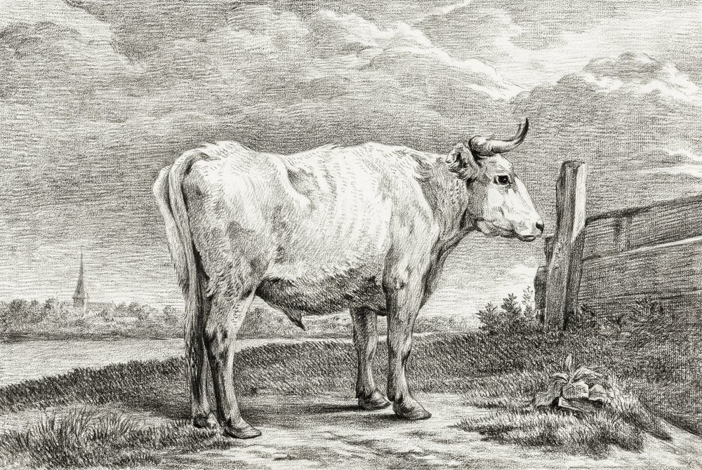 Standing Bull (1817) od Jean Bernard
