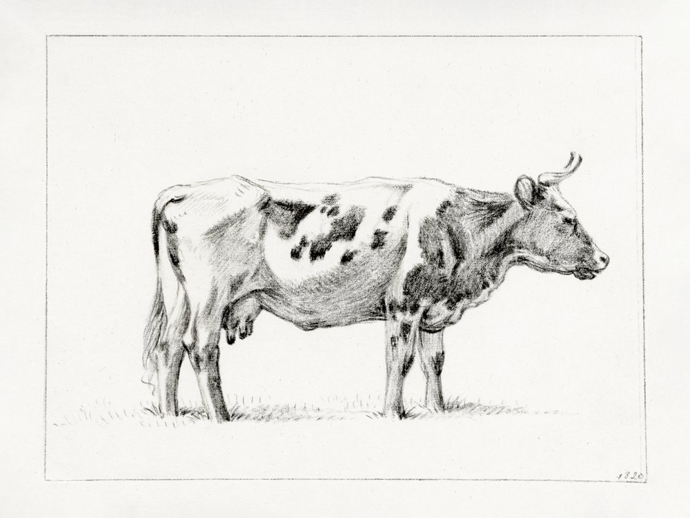Stojící kráva (1820) od Jean Bernard