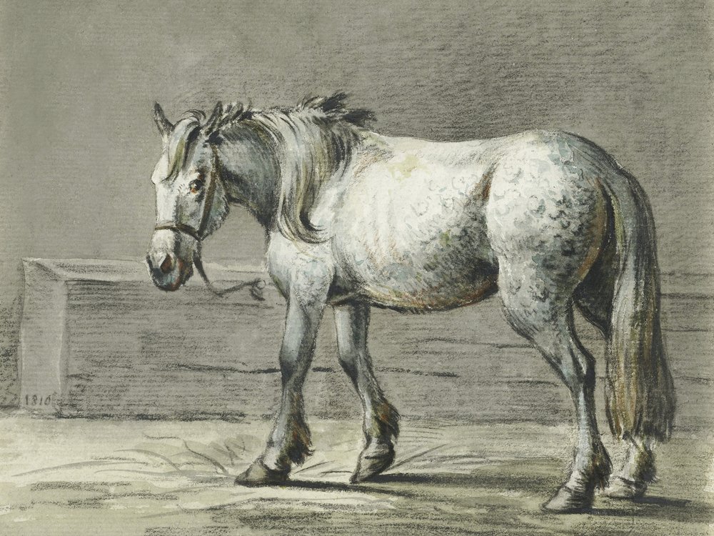 Stojící kůň (1810–1816) od Jeana Bernarda od Jean Bernard