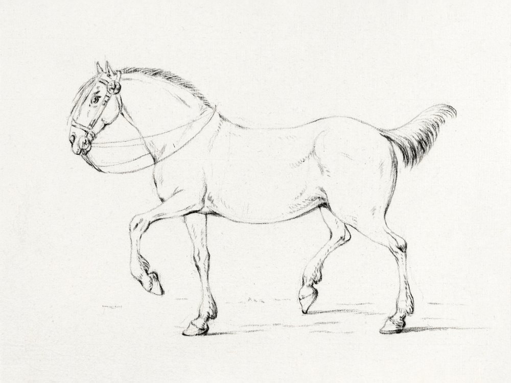 Stepping Horse (1775–1833) od Jean Bernard