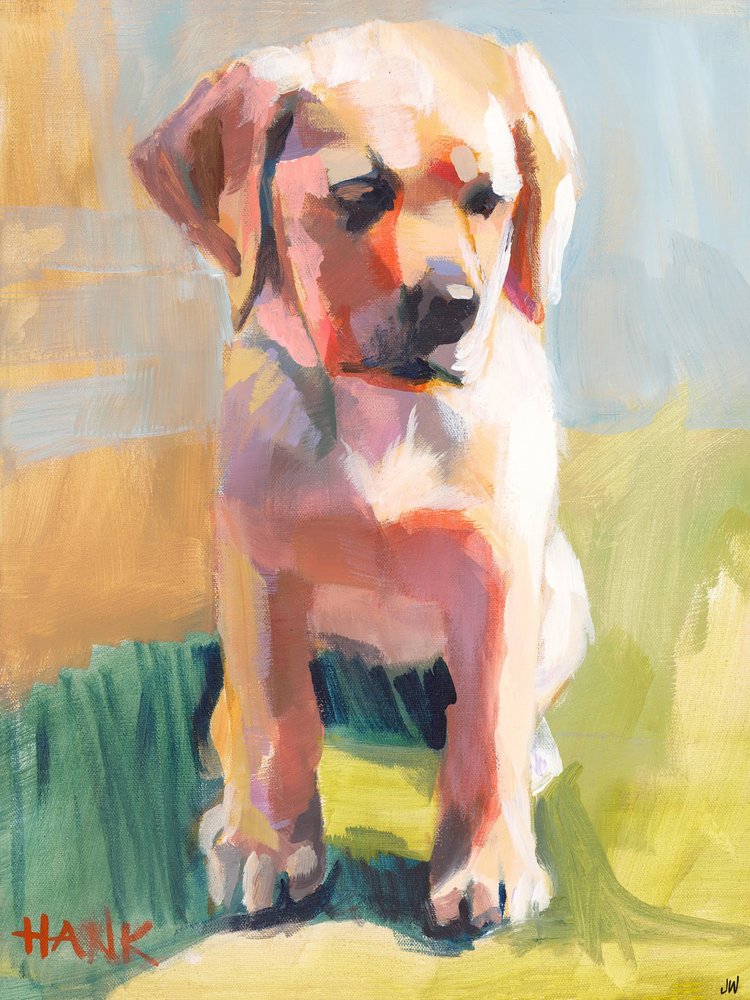 Hank od Jenny Westenhofer