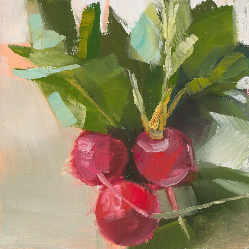 Ředkvičky od Jenny Westenhofer