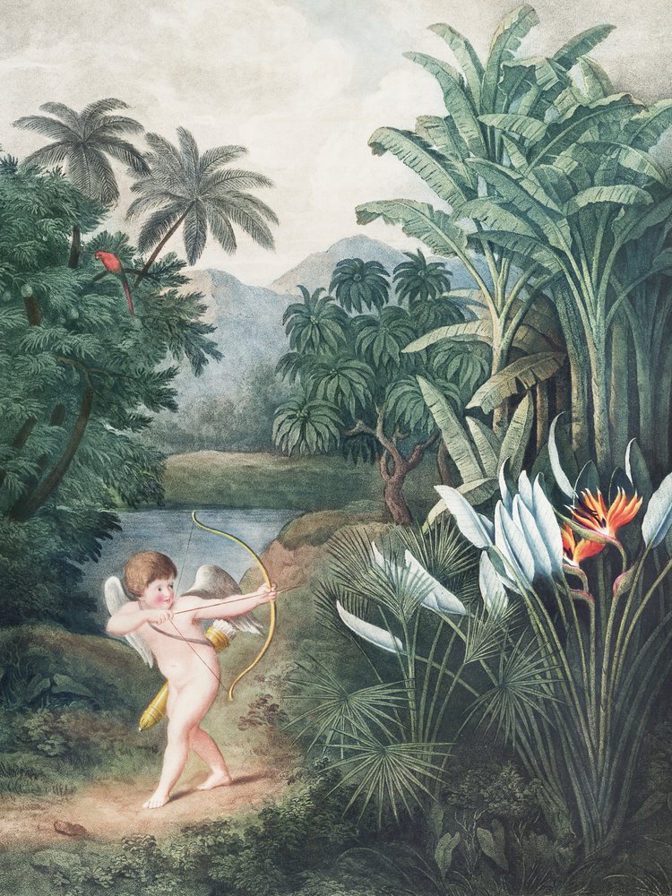Cupid oživující rostliny láskou z Chrámu Flory (1807) od Roberta Johna Thorntona od John Thornton