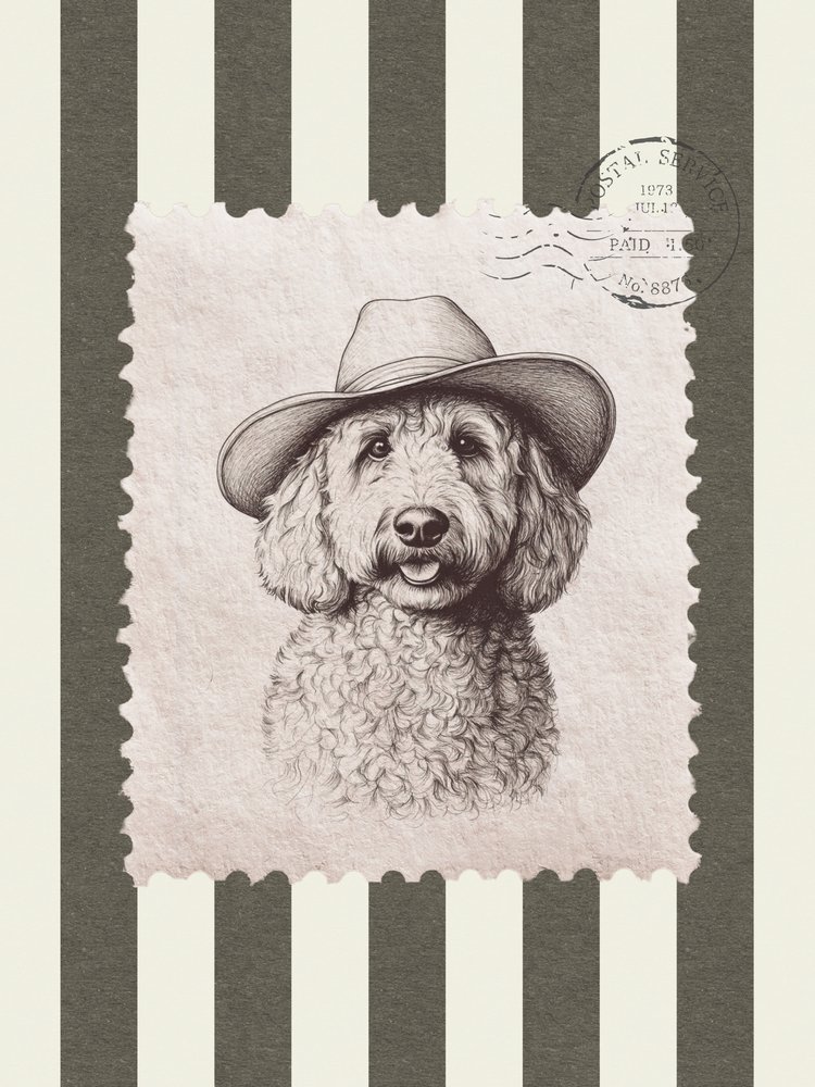 Kovbojský klobouk Goldendoodle od Jolly and Dash