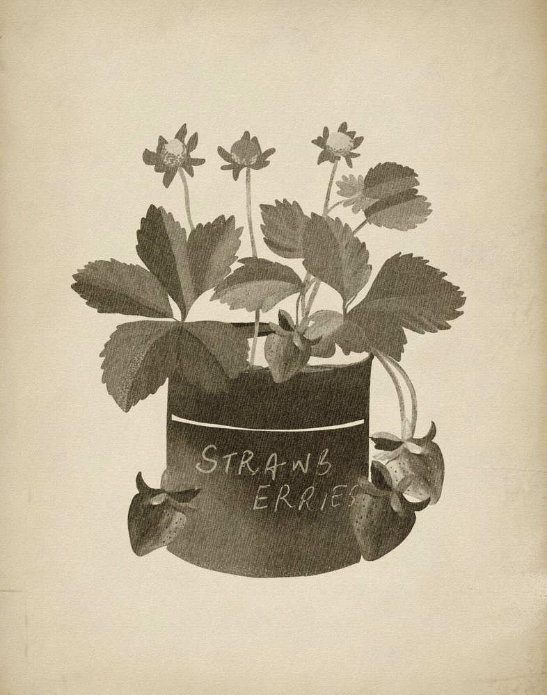Retro ilustrace jahody od Josie George