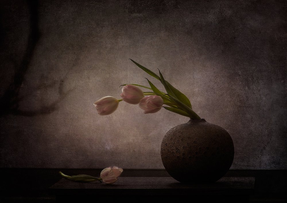 Elegantní melancholické tulipány od Katarina Holmström