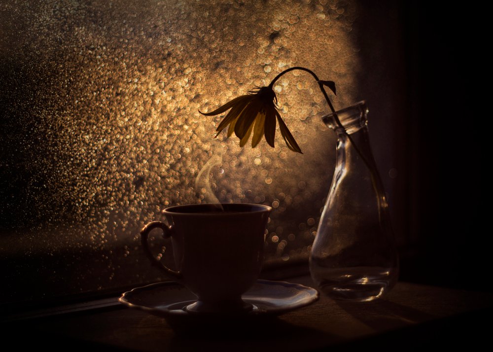 Květina kávovníku Golden Light od Lenka