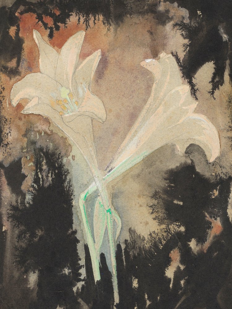 Dvě květiny (1902)  Stretch, autor: Leo Gestel od Leo Gestel