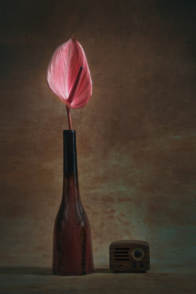 Elegantní anthurium a rádio od Liu Xing