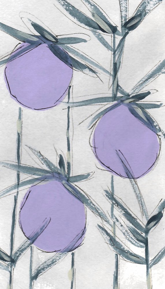 Fialové botanické plody od Lori Ann Folz