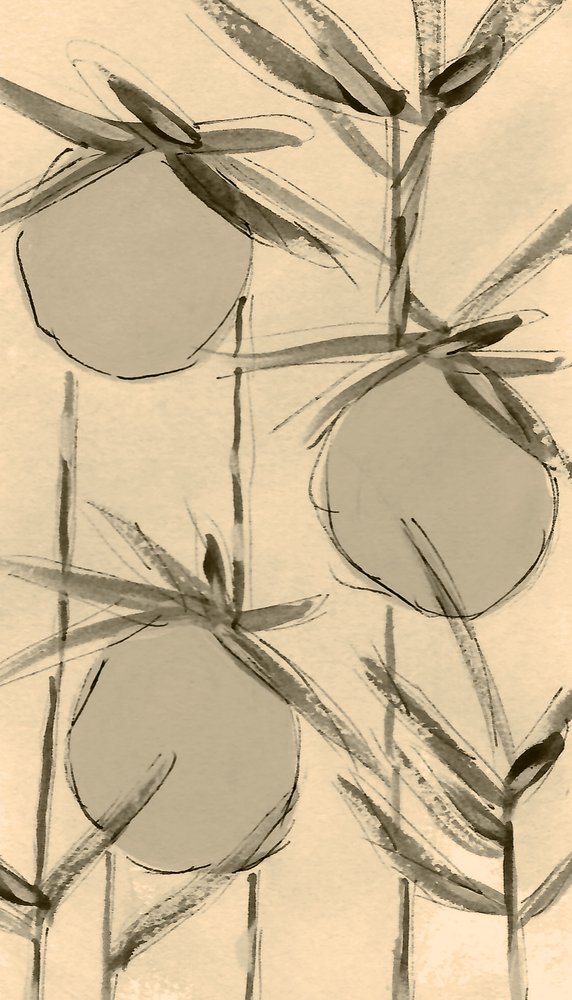 Bavlníkové rostliny „Sepia“ od Lori Ann Folz