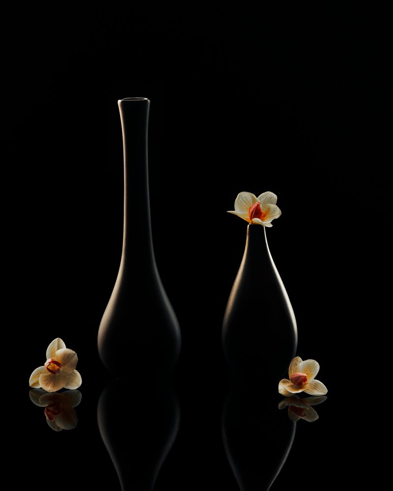 Elegantní odlesky orchidejí od Louie Luo