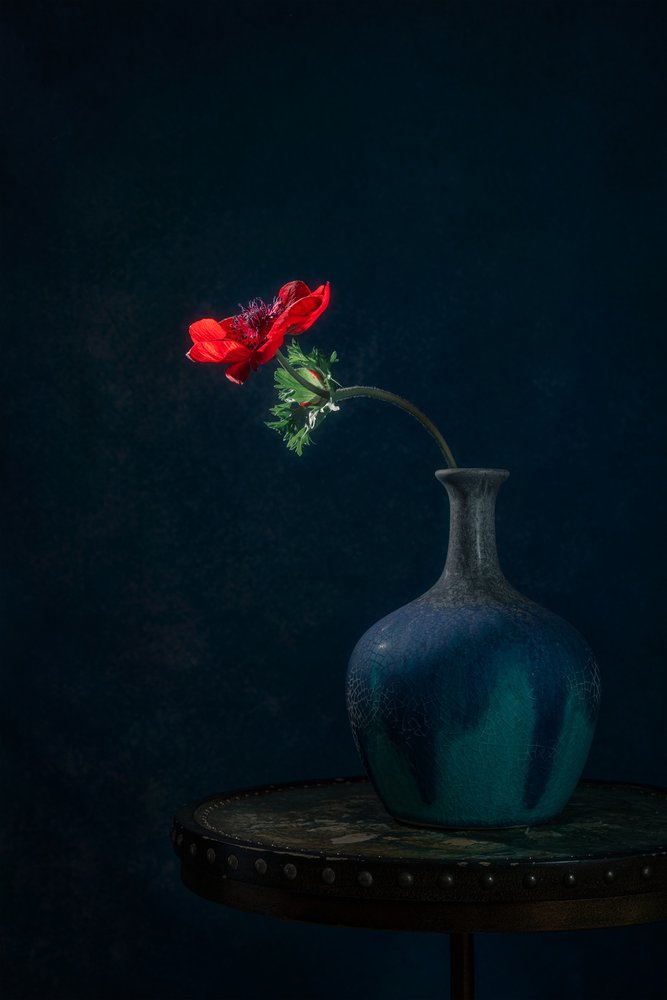 Váza Dark Anemone od Lydia Jacobs