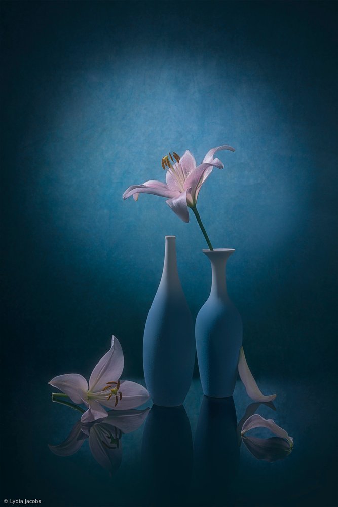 Elegantní modré lilie od Lydia Jacobs