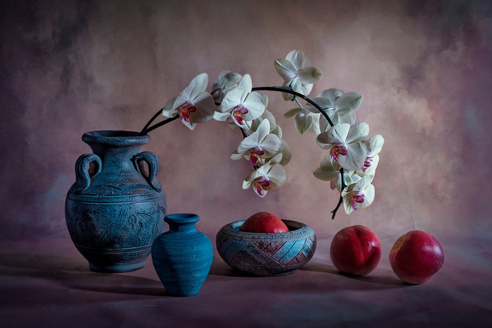 Elegantní zátiší s orchidejemi od Lydia Jacobs