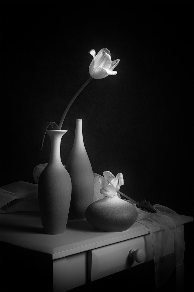 Elegantní zátiší s tulipány od Lydia Jacobs