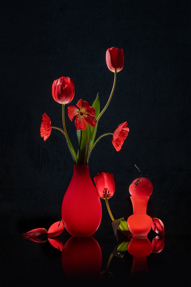 Zářivě červené tulipány a vázy od Lydia Jacobs