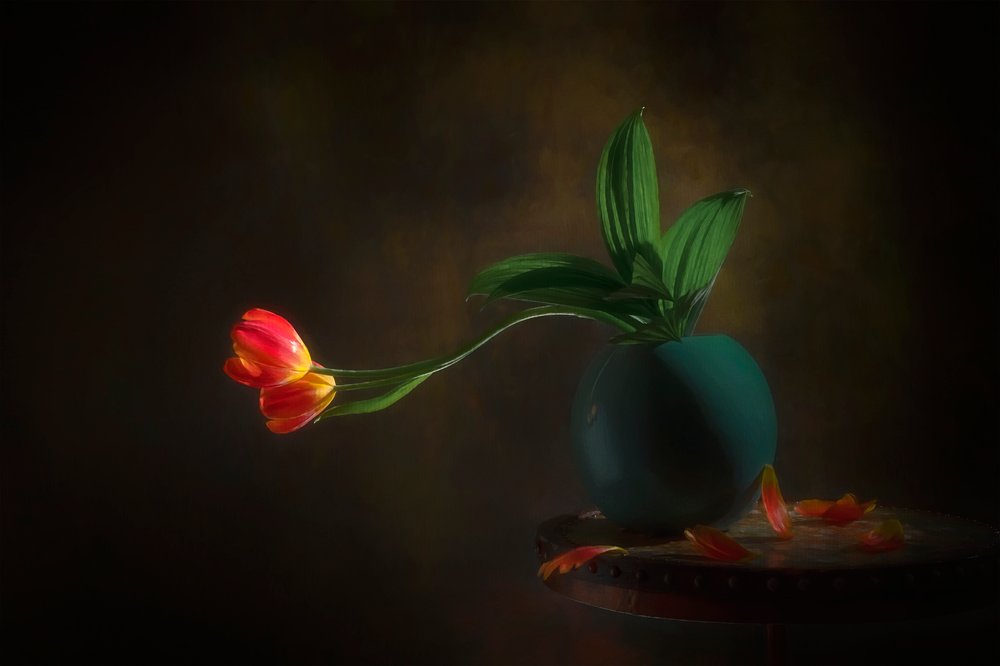 Zátiší s ladnými tulipány od Lydia Jacobs