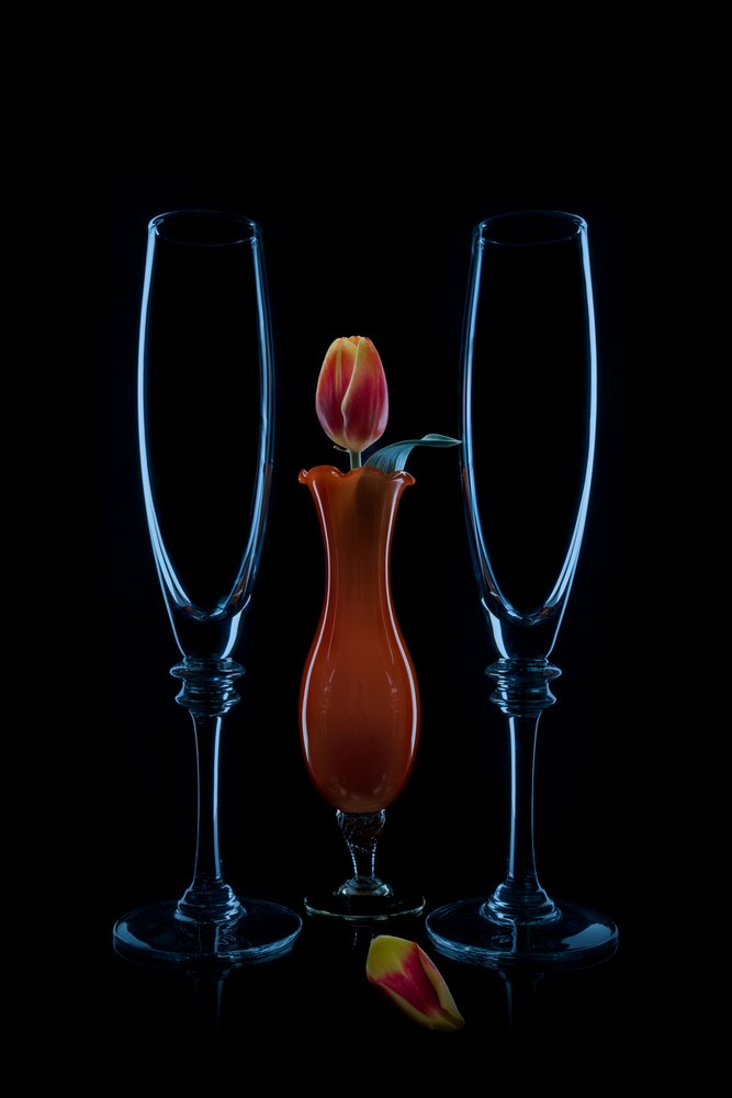 Intimní tulipánové flétny od Lydia Jacobs