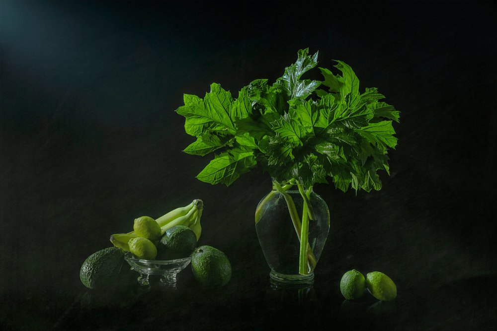 Bujné botanické zátiší od Lydia Jacobs