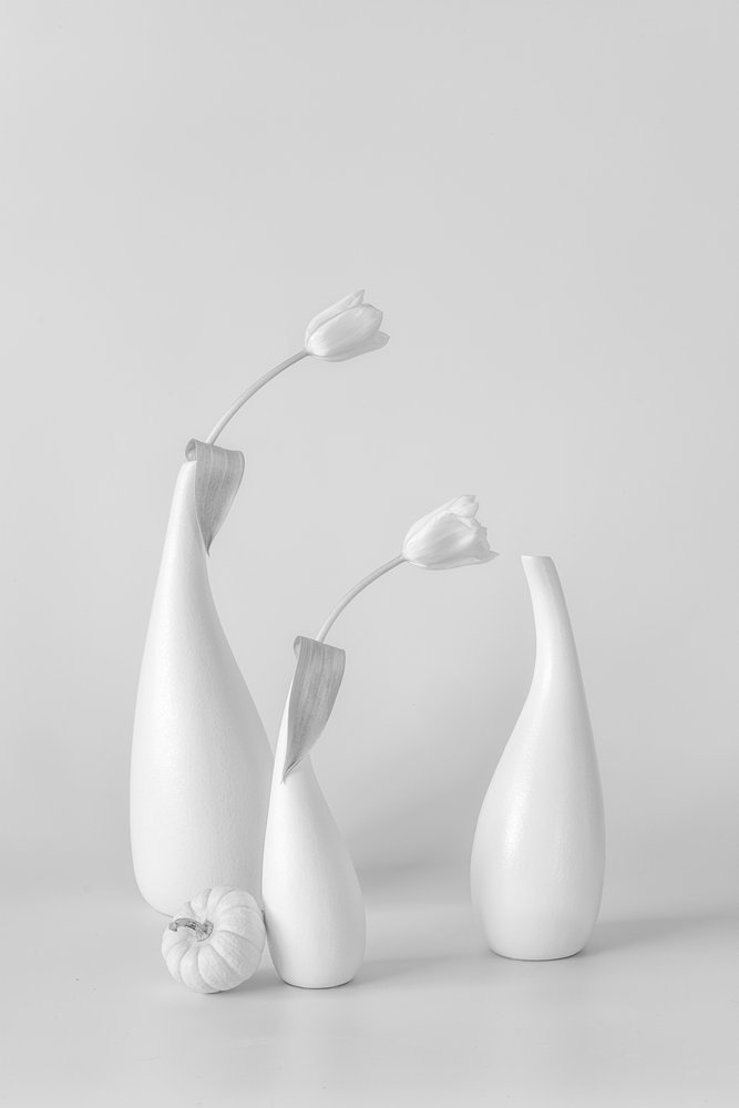 Minimalistické bílé tulipány od Lydia Jacobs