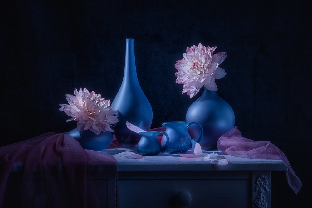 Dahlie Moody Blue od Lydia Jacobs