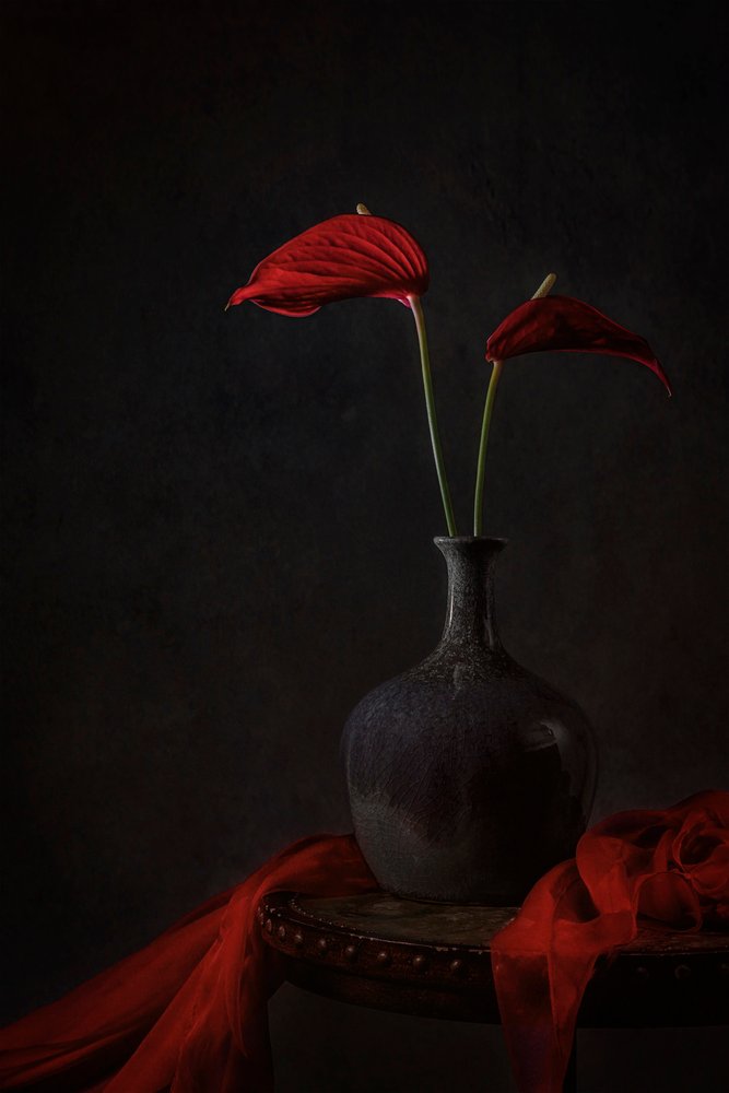 Anthuria v odstínu Moody Red od Lydia Jacobs
